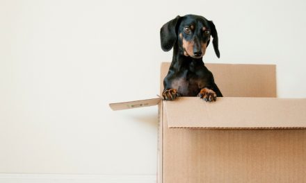 Moving? How to Help Your Child Settle into a New School